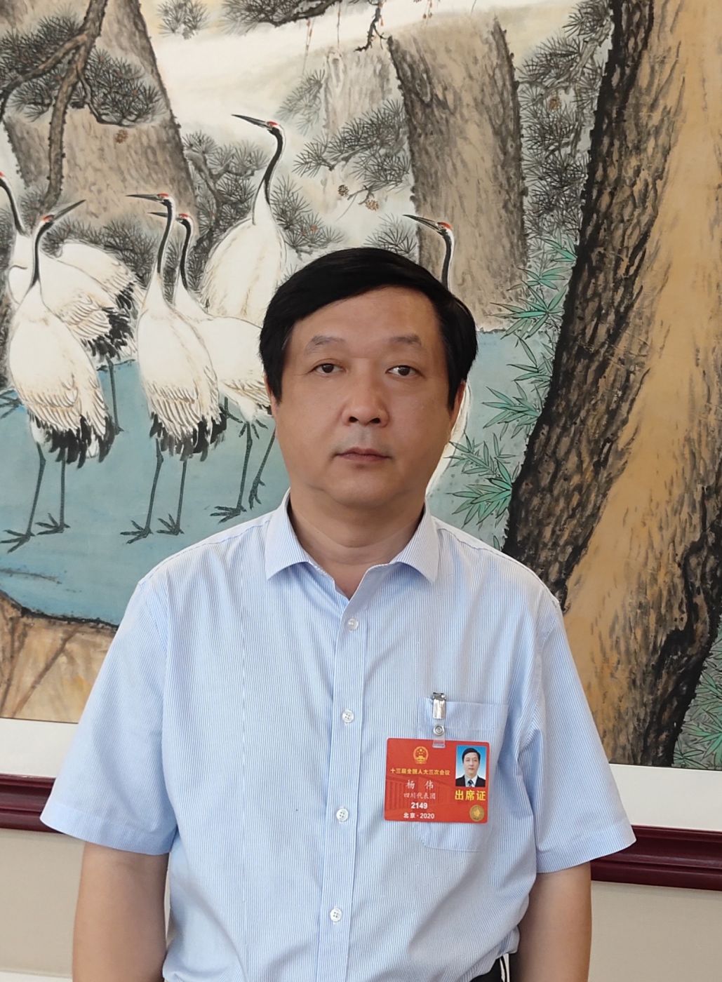 2.全国人大代表、中国科学院院士、华体会（中国）副总经理杨伟